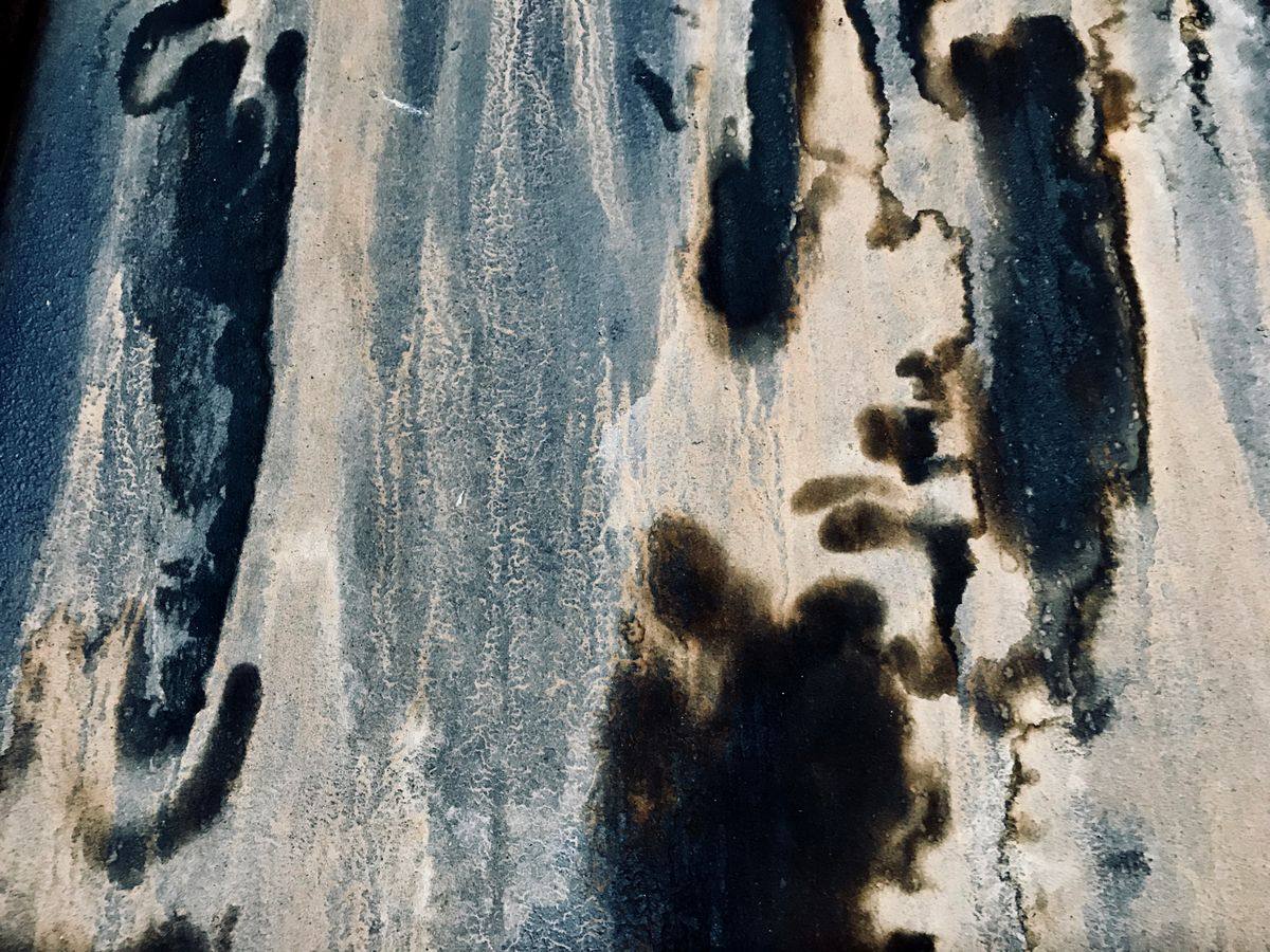 Mold Remediation Princeton NJ