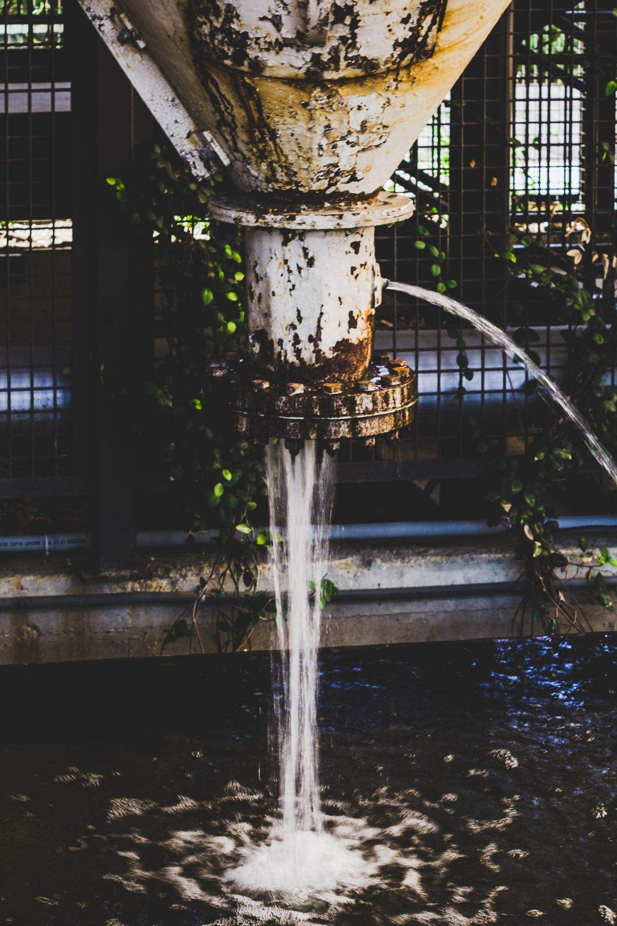 Emergency water extraction Princeton NJ